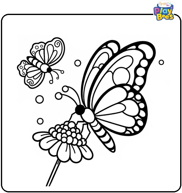 Butterfly Sucking Nectar Coloring Page