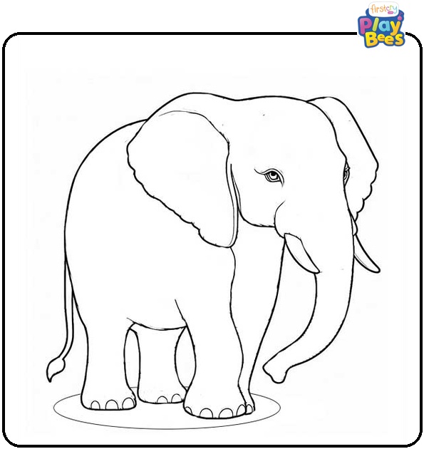 Adult Elephant Coloring Page