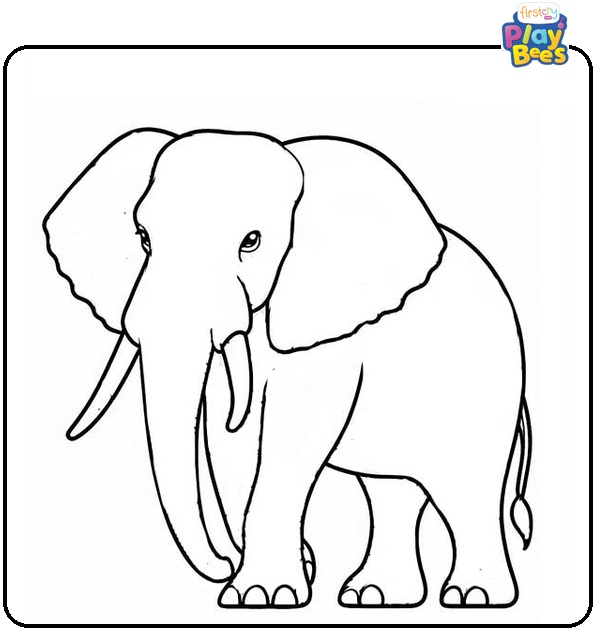  African Elephant Coloring Page