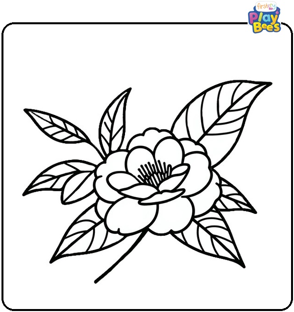 Camellia Flower Coloring Page