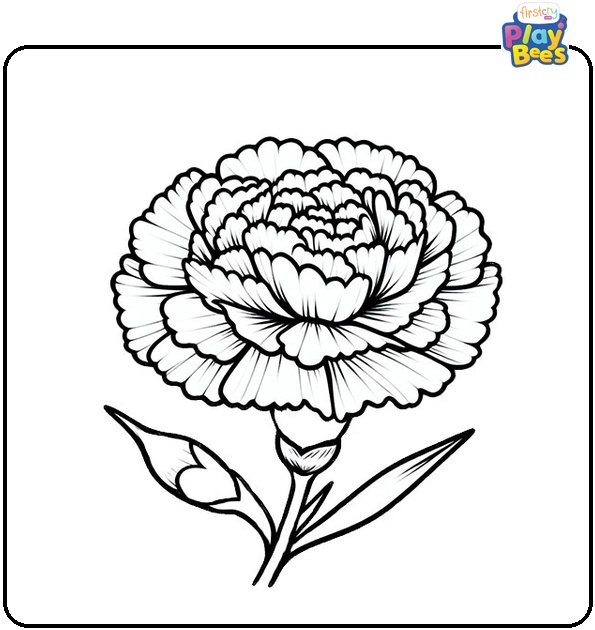 Carnation Flower Coloring Page