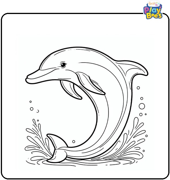 Clymene Dolphin Coloring Page