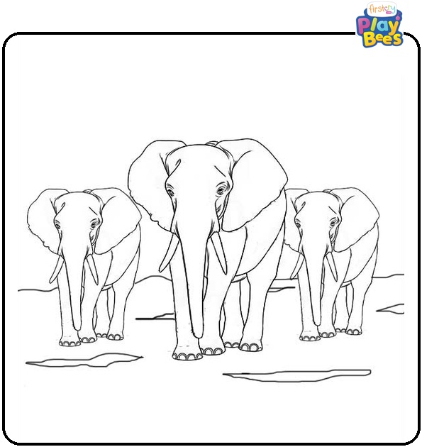 Herd of Elephants on the Plains Coloring Page
