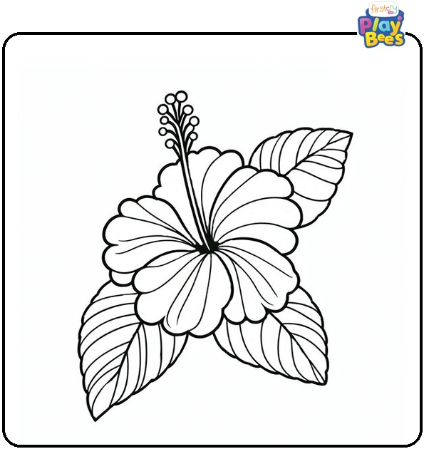 Hibiscus Flower Coloring Page