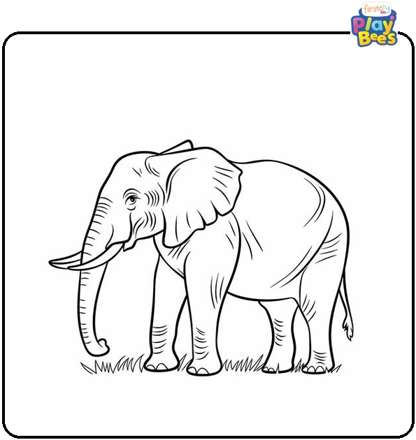 Indian Elephant Coloring Page