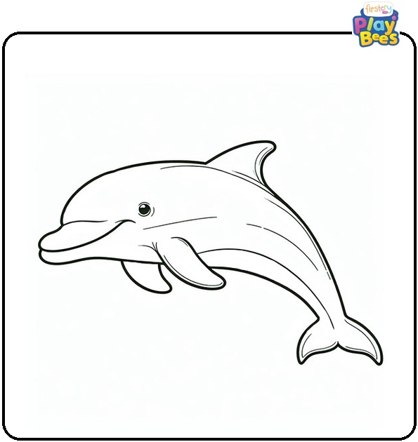 Irrawaddy Dolphin Coloring Page