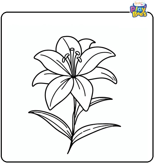 Lily Flower Coloring Page