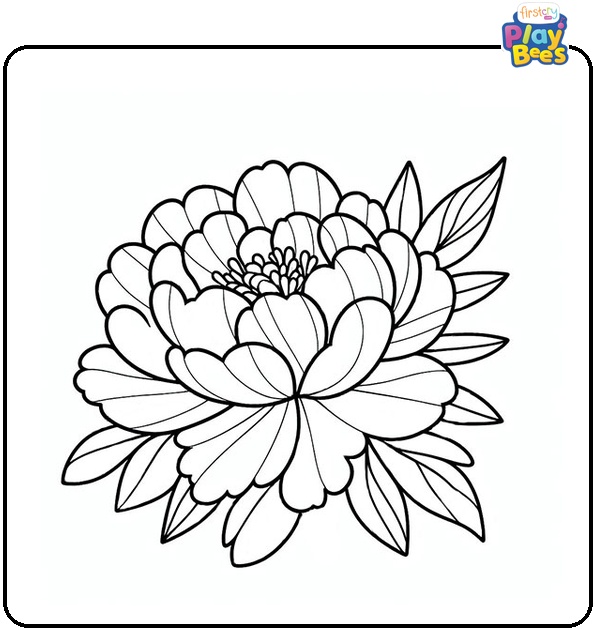 Peony Flower Coloring Page