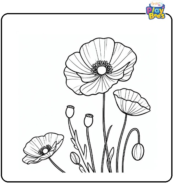 Poppy Flower Coloring Page