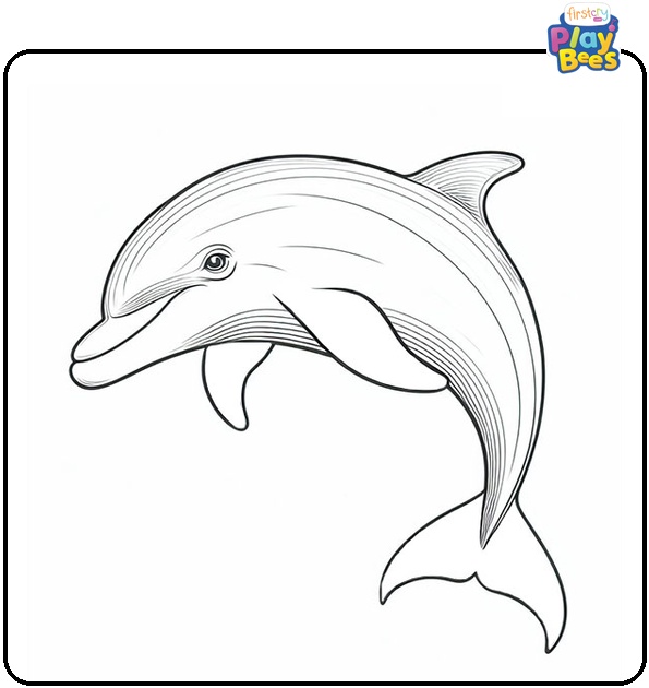 Realistic Dolphin Coloring Page