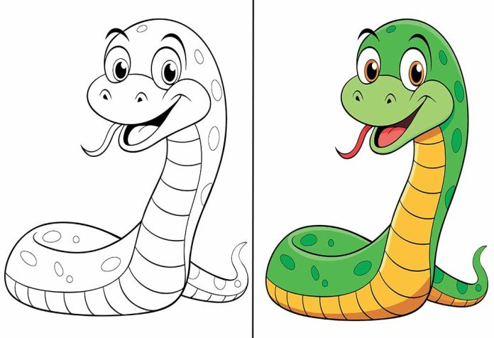 Snake Coloring Pages – Free Printables for Kids