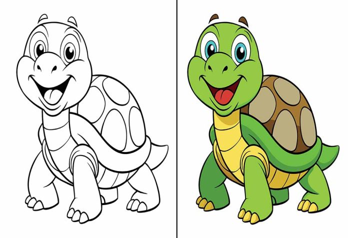 Turtle Coloring Pages – Free Printable Sheets & Pictures