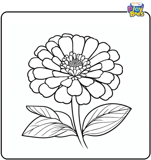 Zinnia Flower Coloring Page