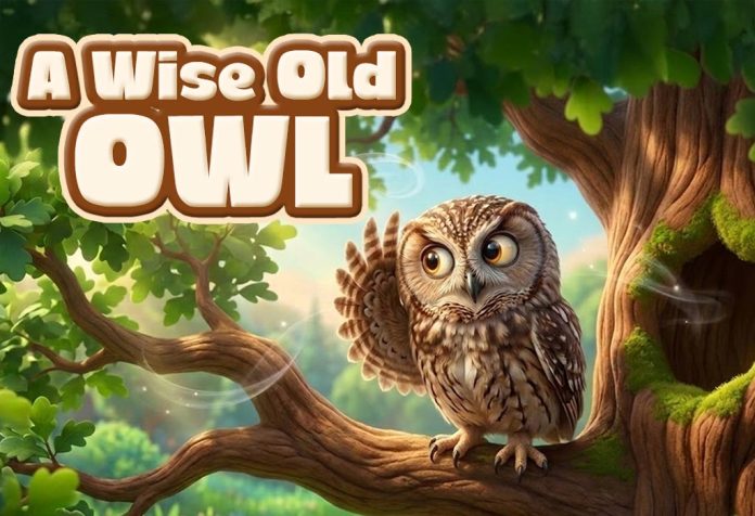A Wise Old Owl Nursery Rhyme With Lyrics