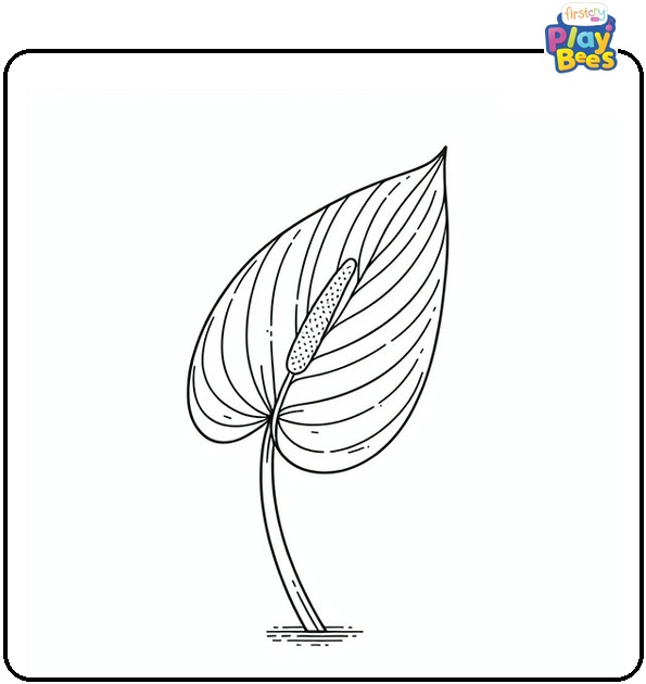 Anthurium Leaf Coloring Page Anthurium Leaf Coloring Page