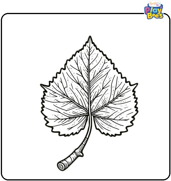 Aspen Leaf Coloring Page Aspen Leaf Coloring Page