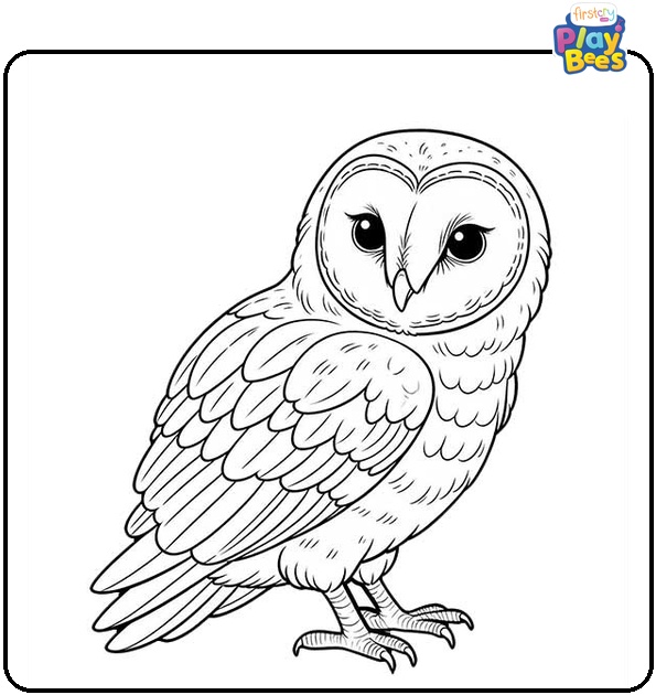 Barn Owl Coloring Page