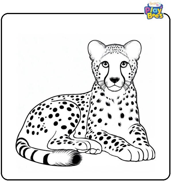 Big Cheetah Coloring Page Big Cheetah Coloring Page
