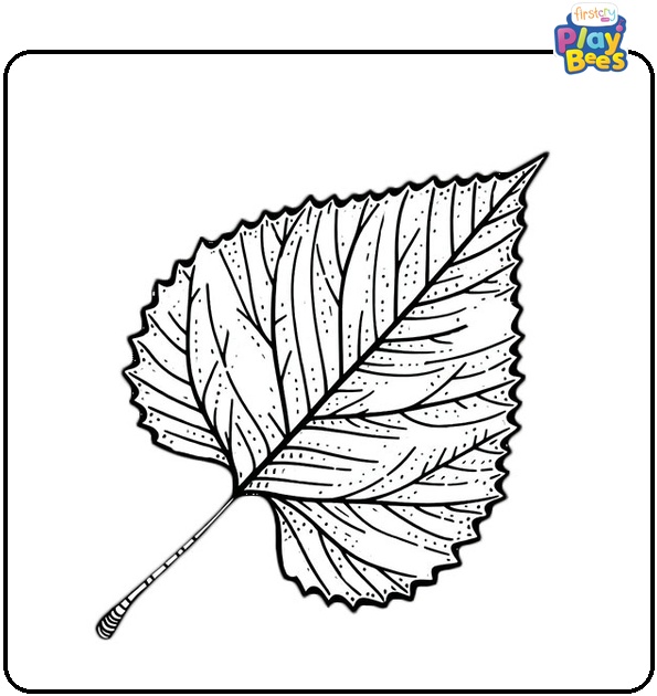 Birch Leaves Coloring Page Birch Leaves Coloring Page