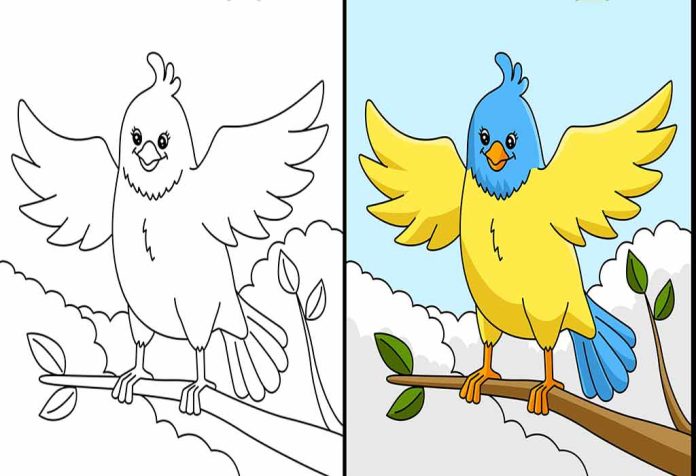 Bird Coloring Pages – Free Printable Sheets & Pictures