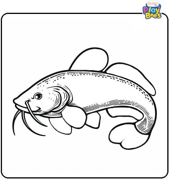 Catfish Coloring Page Catfish Coloring Page