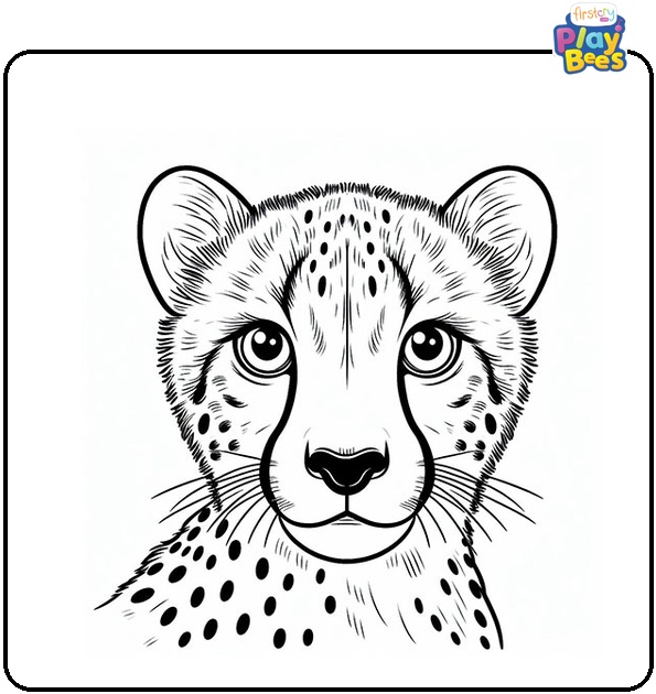 Cheetah Staring Coloring Page Cheetah Staring Coloring Page