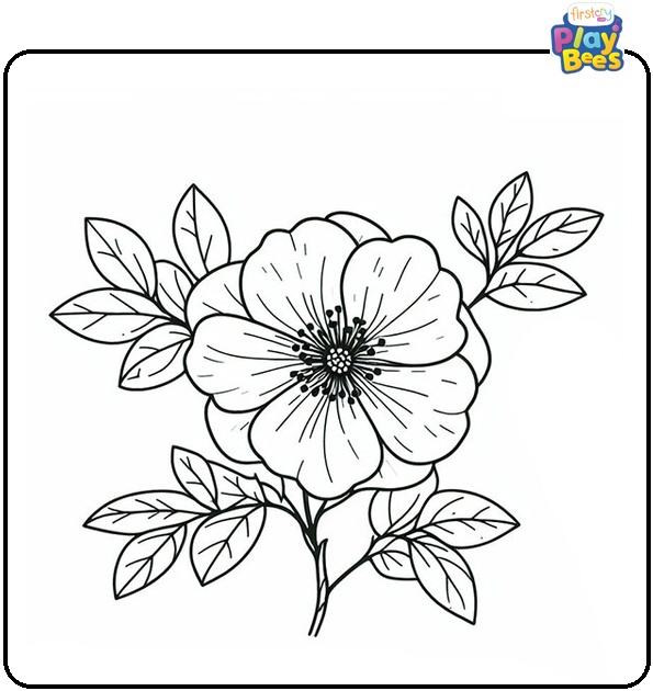 Cherokee Rose Coloring Page