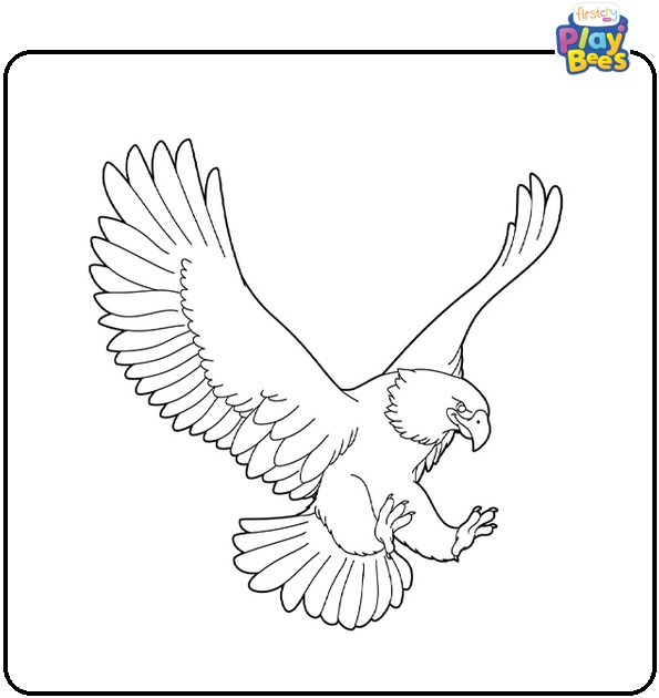 Eagle Bird Coloring Page