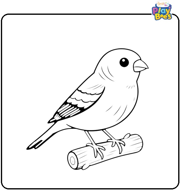 Finch Bird Coloring Page