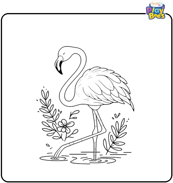 Flamingo Bird Coloring Page