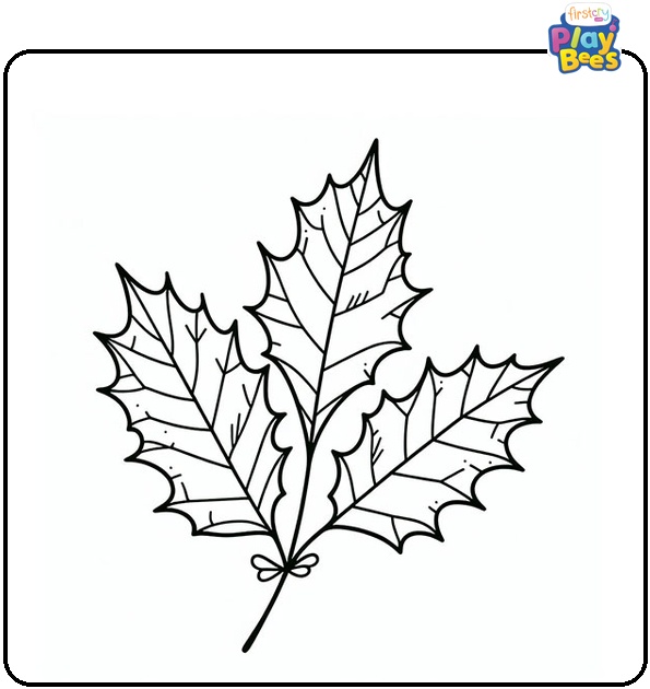 Holly Leaf Coloring Page Holly Leaf Coloring Page