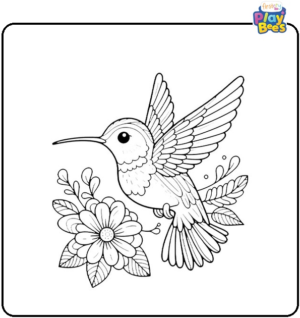 Hummingbird Coloring Page