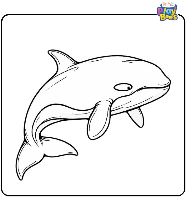 Killer Whale Coloring Page Killer Whale Coloring Page