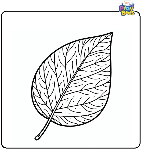 Large Leaf Coloring Page Large Leaf Coloring Page