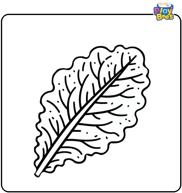 Lettuce Leaf Coloring Page Lettuce Leaf Coloring Page