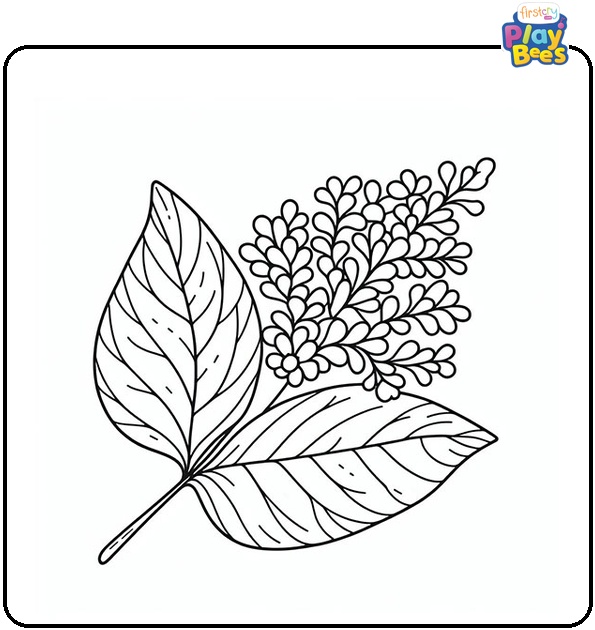 Lilac Leaf Coloring Page Lilac Leaf Coloring Page