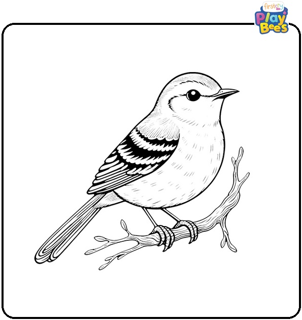 Mockingbird Bird Coloring Page