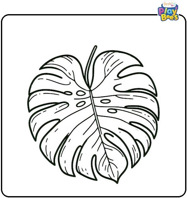 Monstera Leaf Coloring Page Monstera Leaf Coloring Page