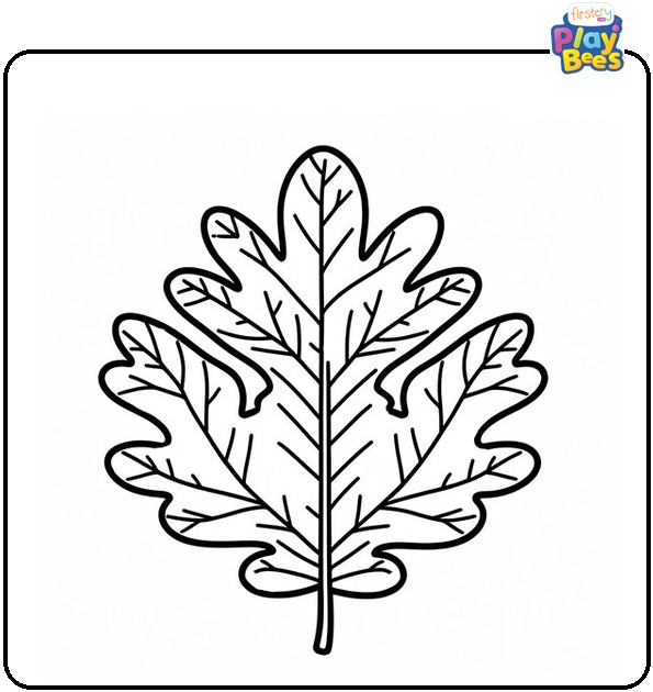 Oak Leaf Coloring Page Oak Leaf Coloring Page
