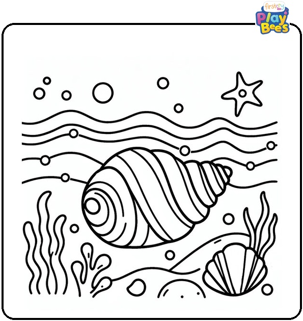 Ocean Shells Coloring Page Ocean Shells Coloring Page