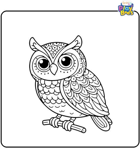 Owl Bird Coloring Page