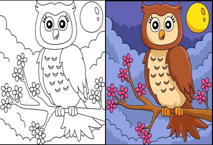 Owl Coloring Pages – Free Printable Sheets & Pictures