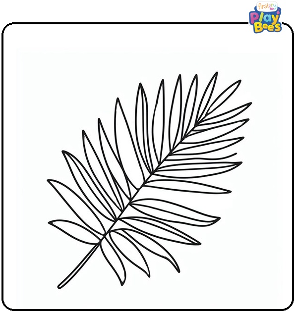 Palm Leaf Coloring Page Palm Leaf Coloring Page