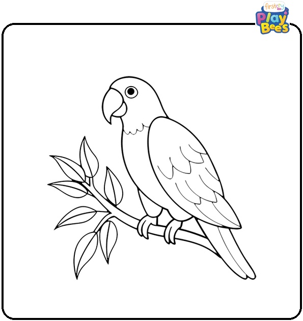 Parrot Bird Coloring Page