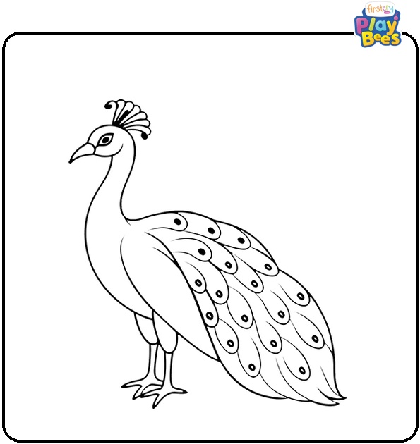 Peacock Bird Coloring Page