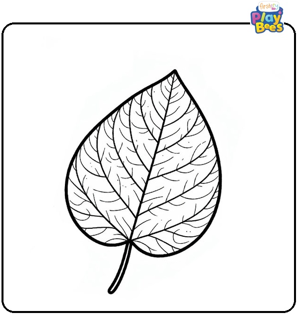 Pumpkin Leaf Coloring Page Pumpkin Leaf Coloring Page