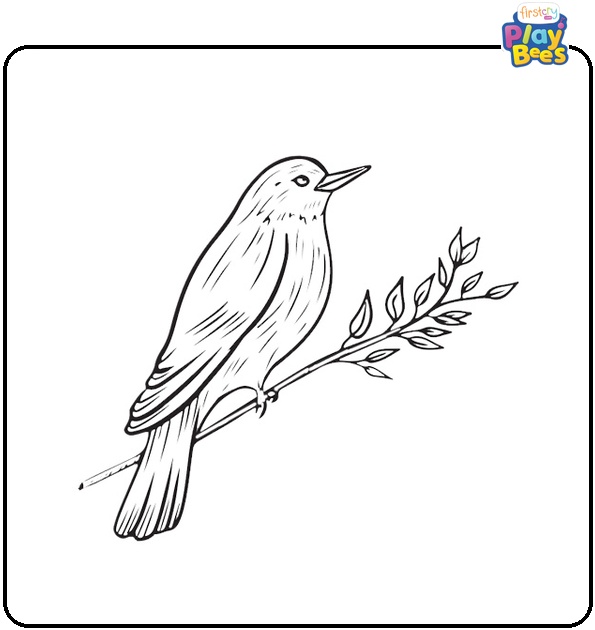 Realistic Bird Coloring Page