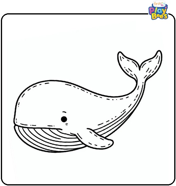 Realistic Whale Coloring Page Realistic Whale Coloring Page