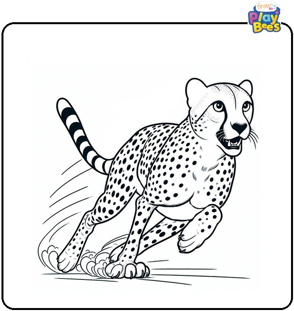 Running Cheetah Coloring Page Running Cheetah Coloring Page