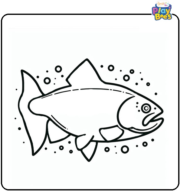 Salmon Coloring Page Salmon Coloring Page